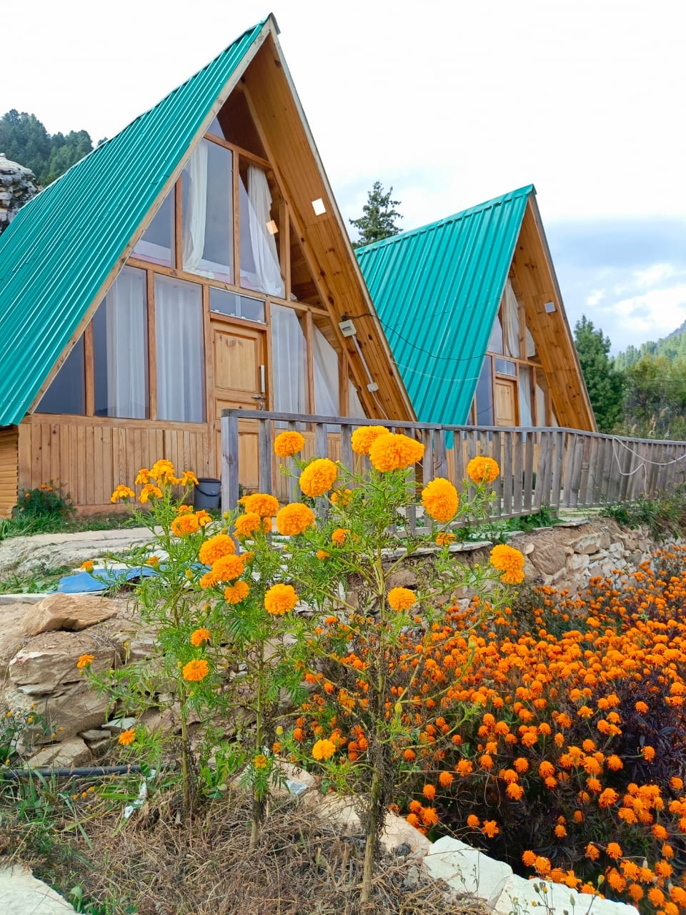 Sky Mount Cottage Hotel, Sainj